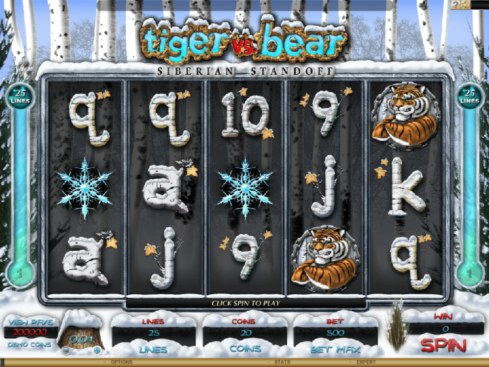 Tiger vs. Bear