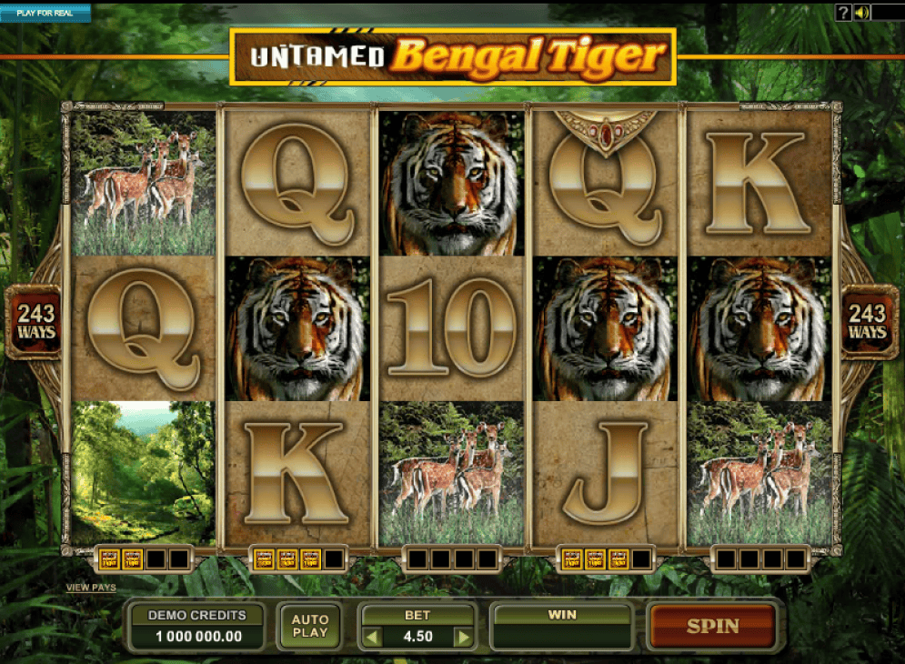 Untamed Bengal Tiger