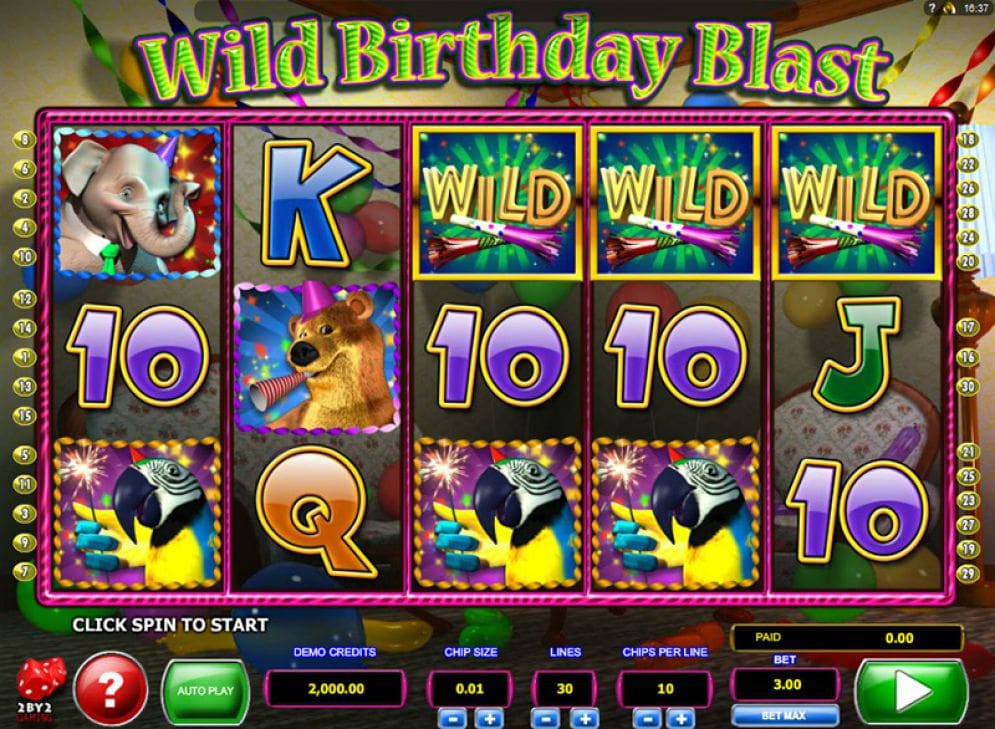 Wild Birthday Blast