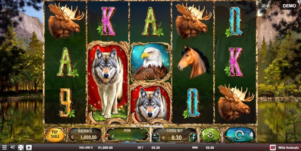 Wild Animals