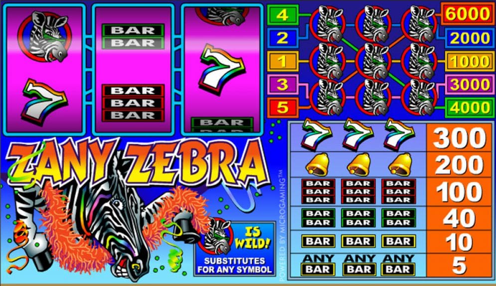 Zany Zebra