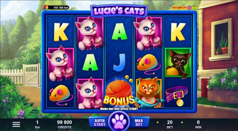 Lucie’s Cats