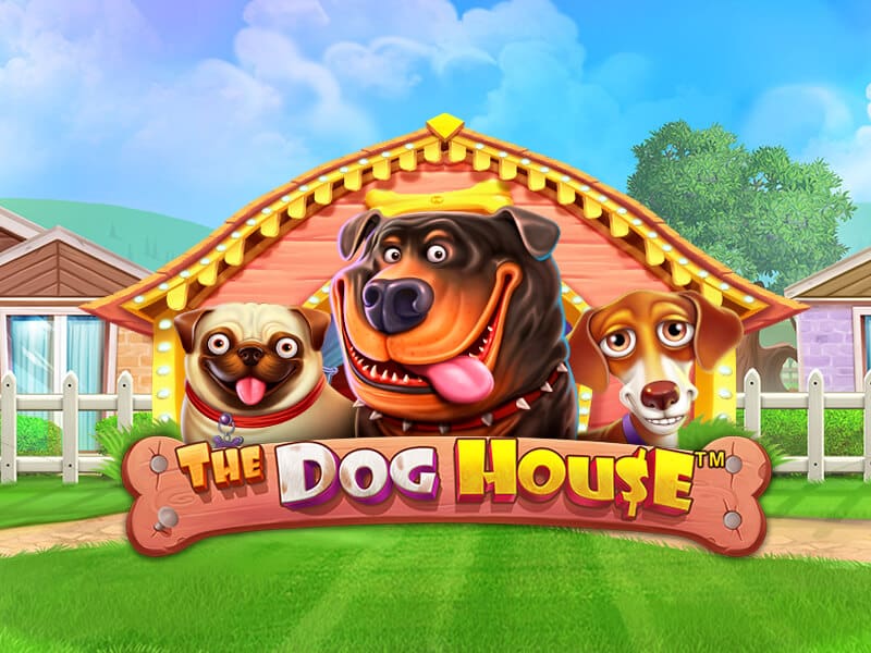 The Dog House