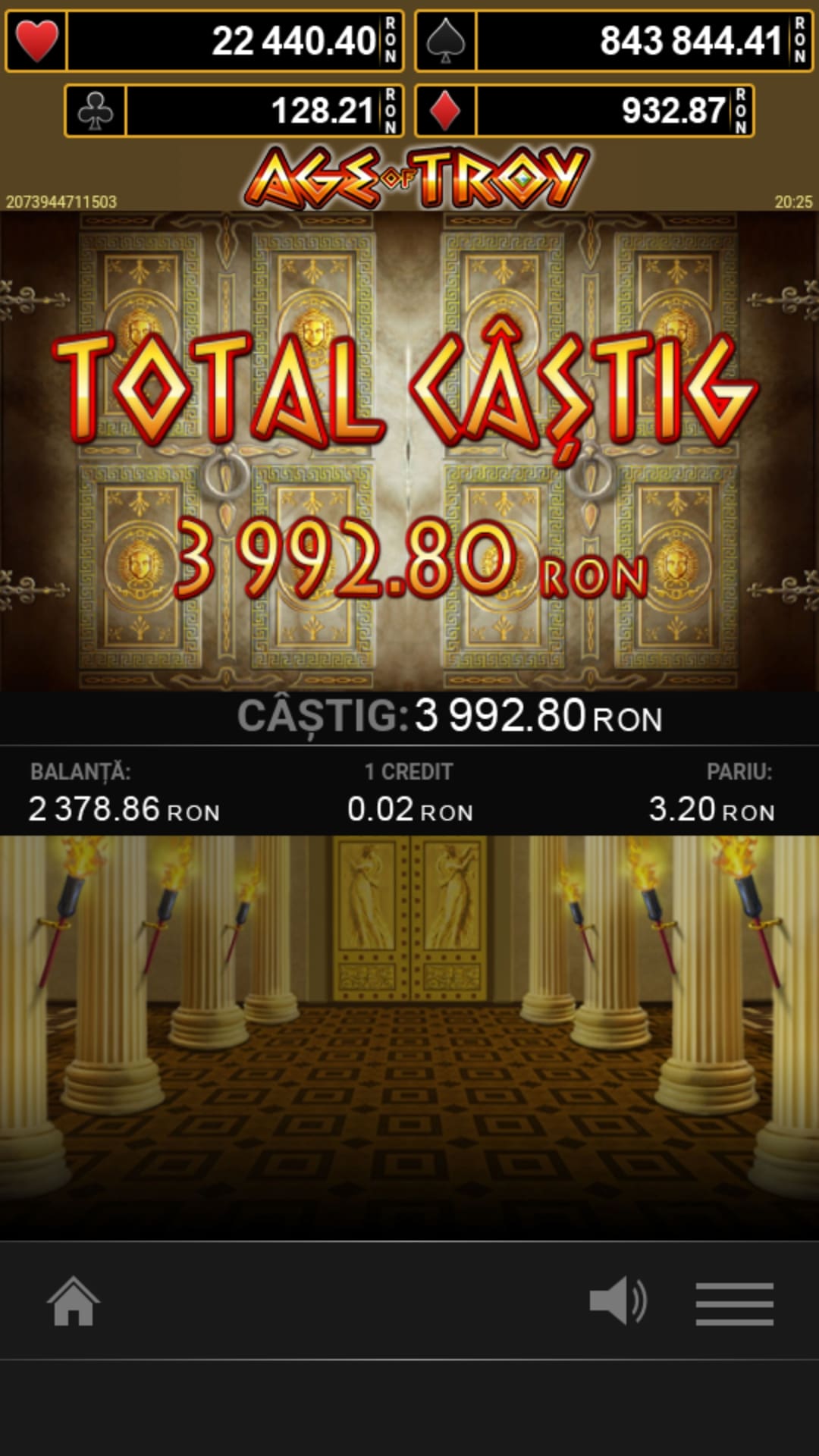 single-castig