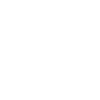 Magnumbet